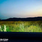 11" CREE LED LIGHT BAR - AMBER SPOT BEAM - Mwhips