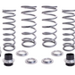 Polaris Ranger XD 1500 Spring Kit