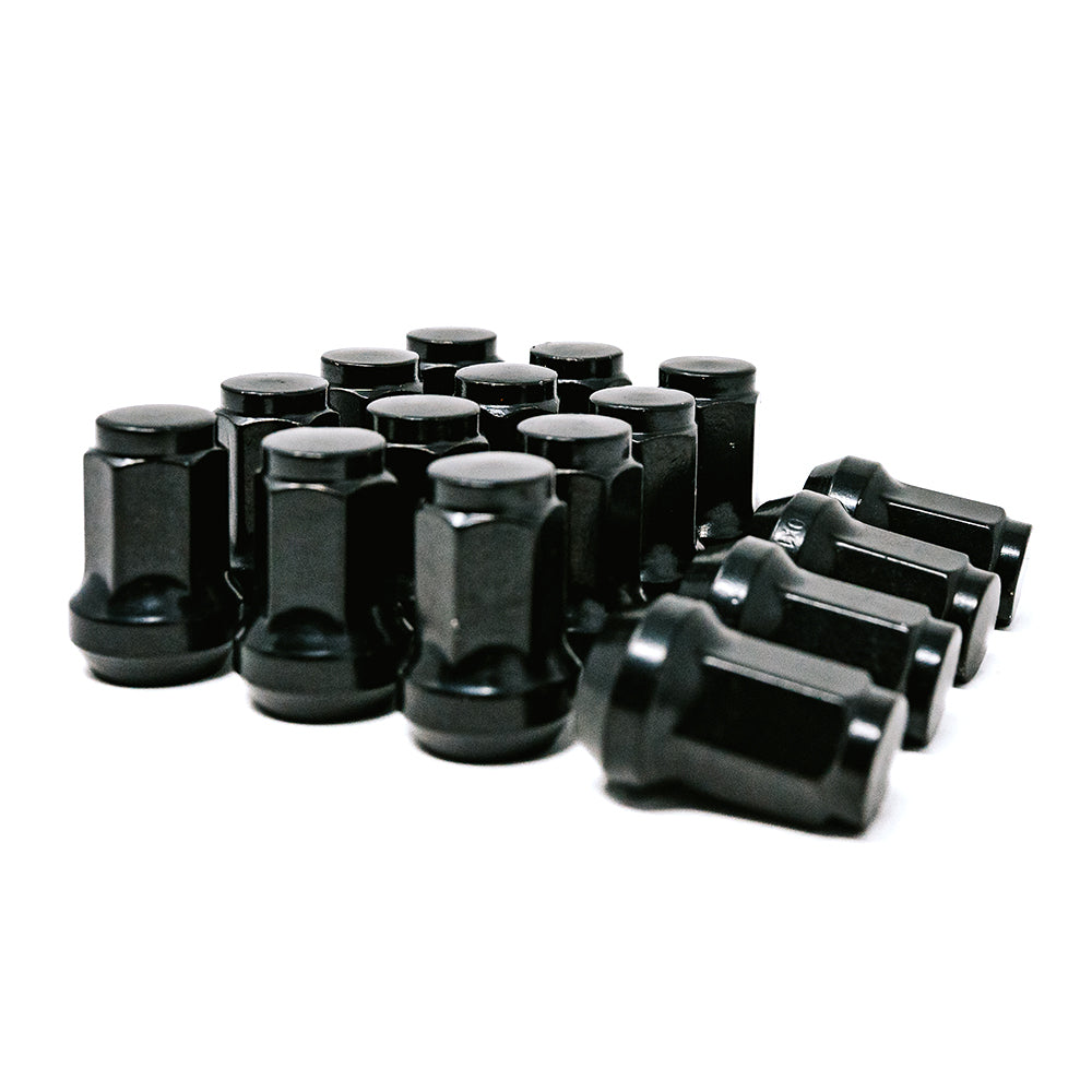 10x1.25 Lug Kit